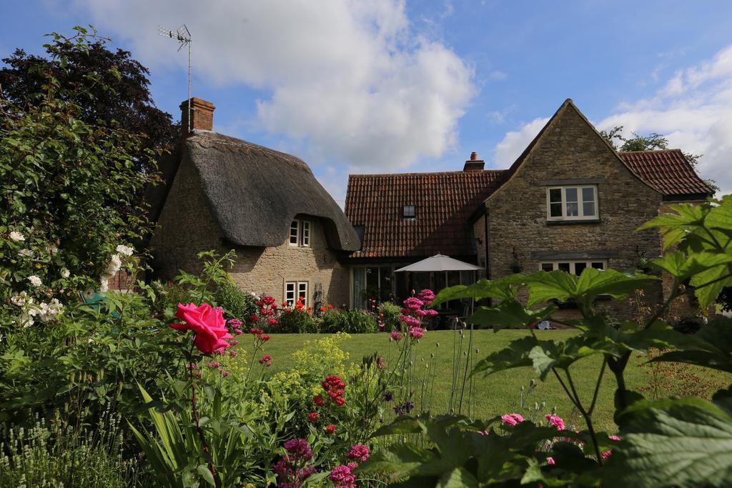 Thatch Cottage เลค็อก ภายนอก รูปภาพ